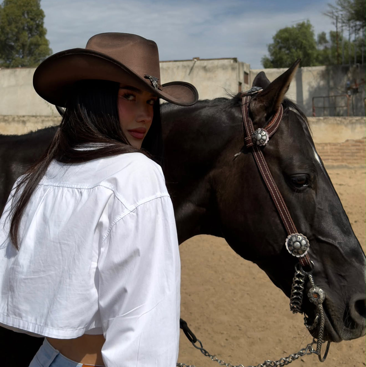 Premier Texana Fina Rodeo Café Bison