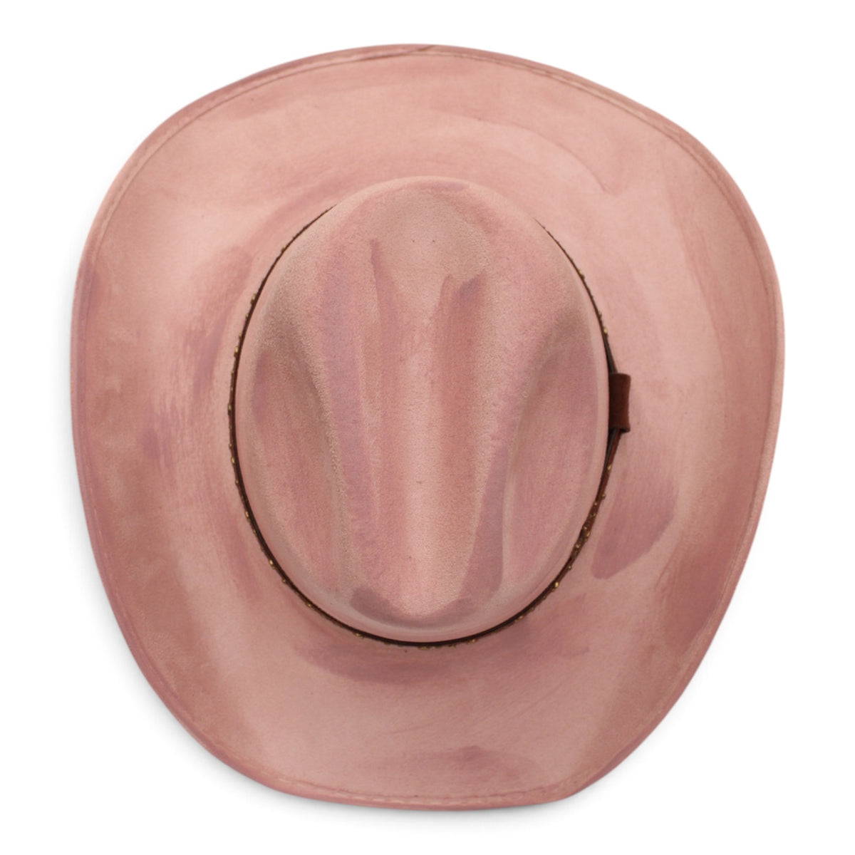 Premier Texana Fina Rodeo Rosa Azalea