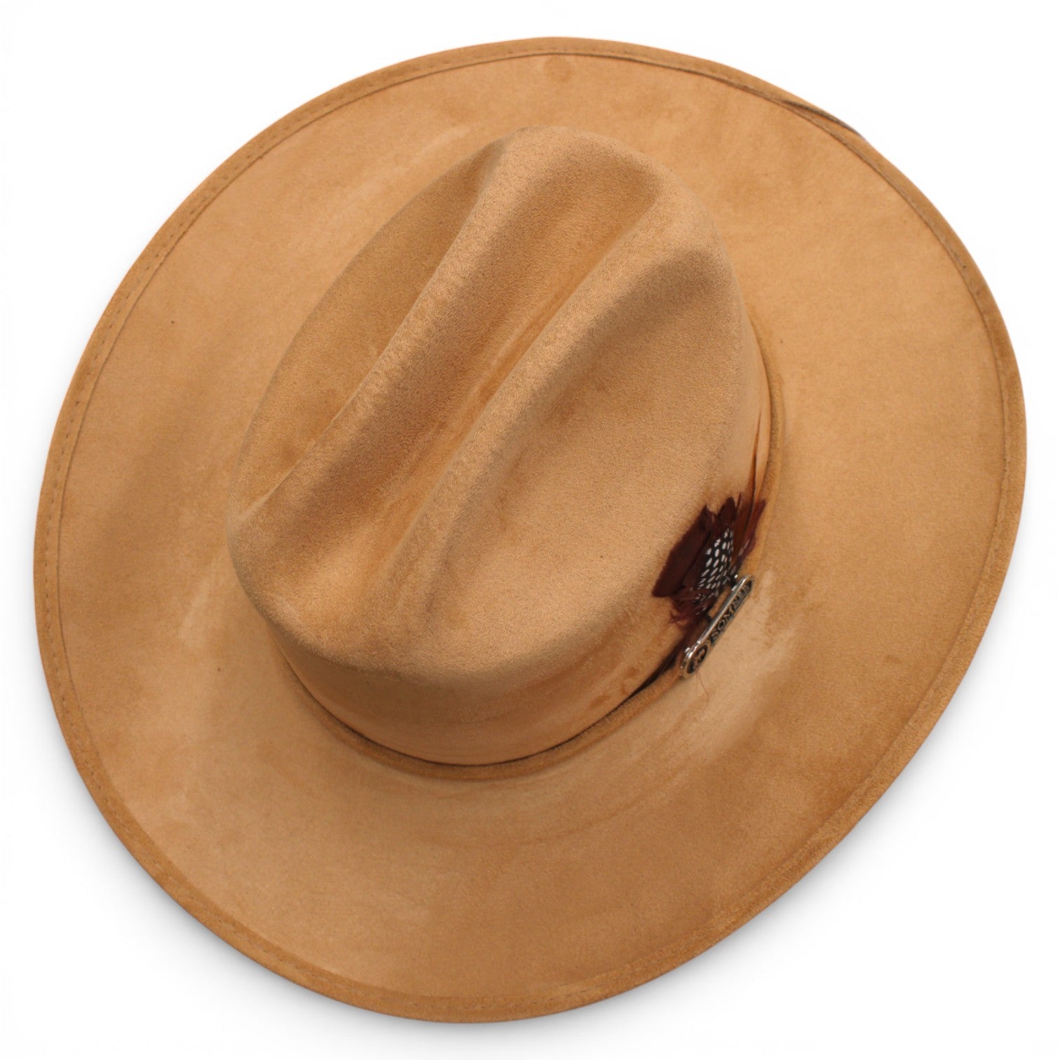 Premier Texana Brother Camel