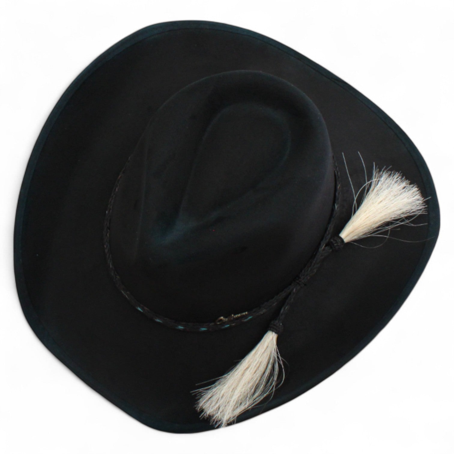 Premier Texana Shasta Negro