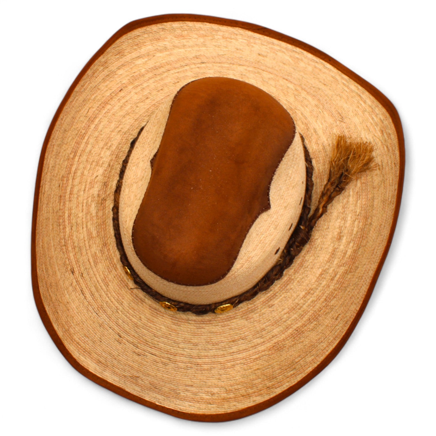 Palma Bolona Natural Aplicación
