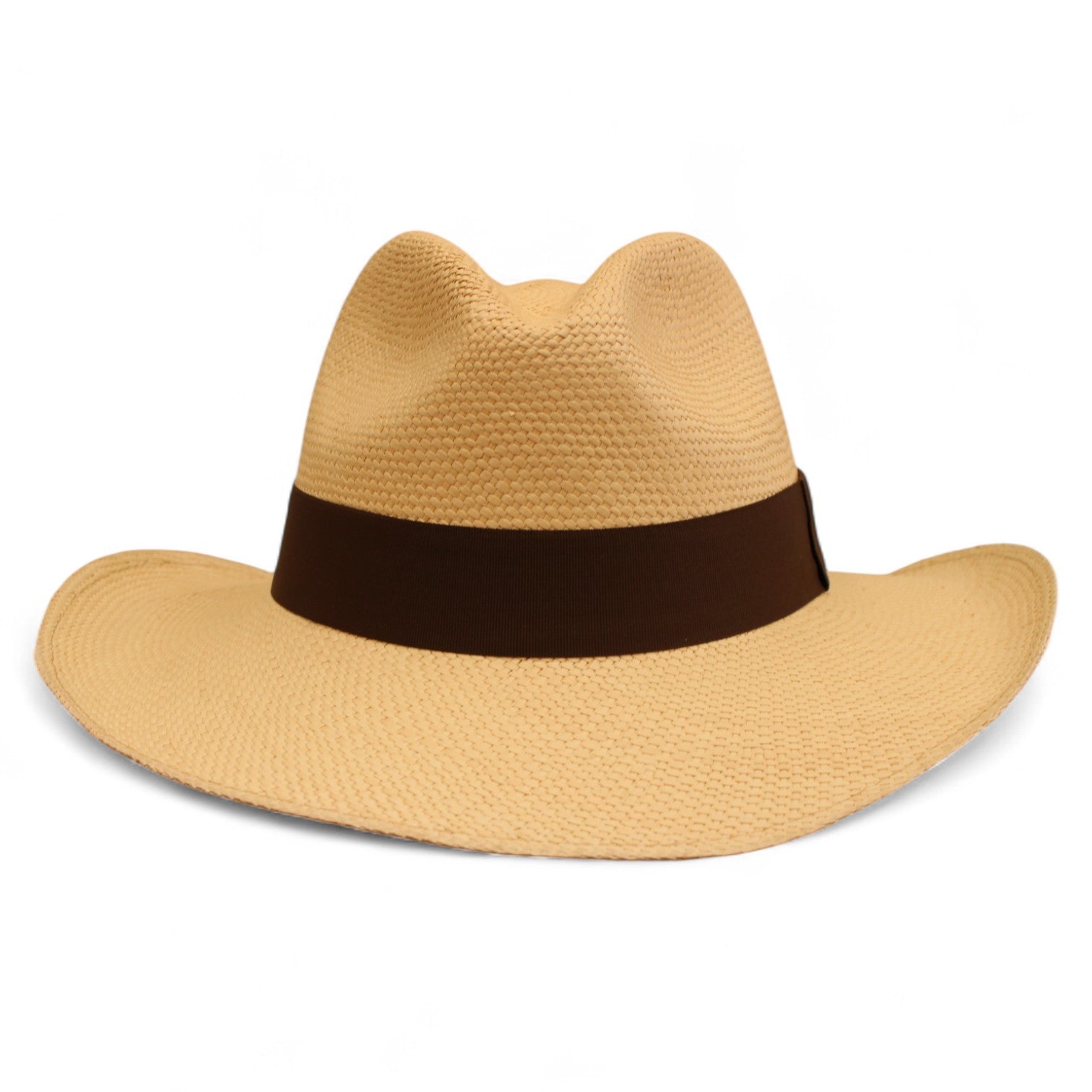 Panama Explorer Paja