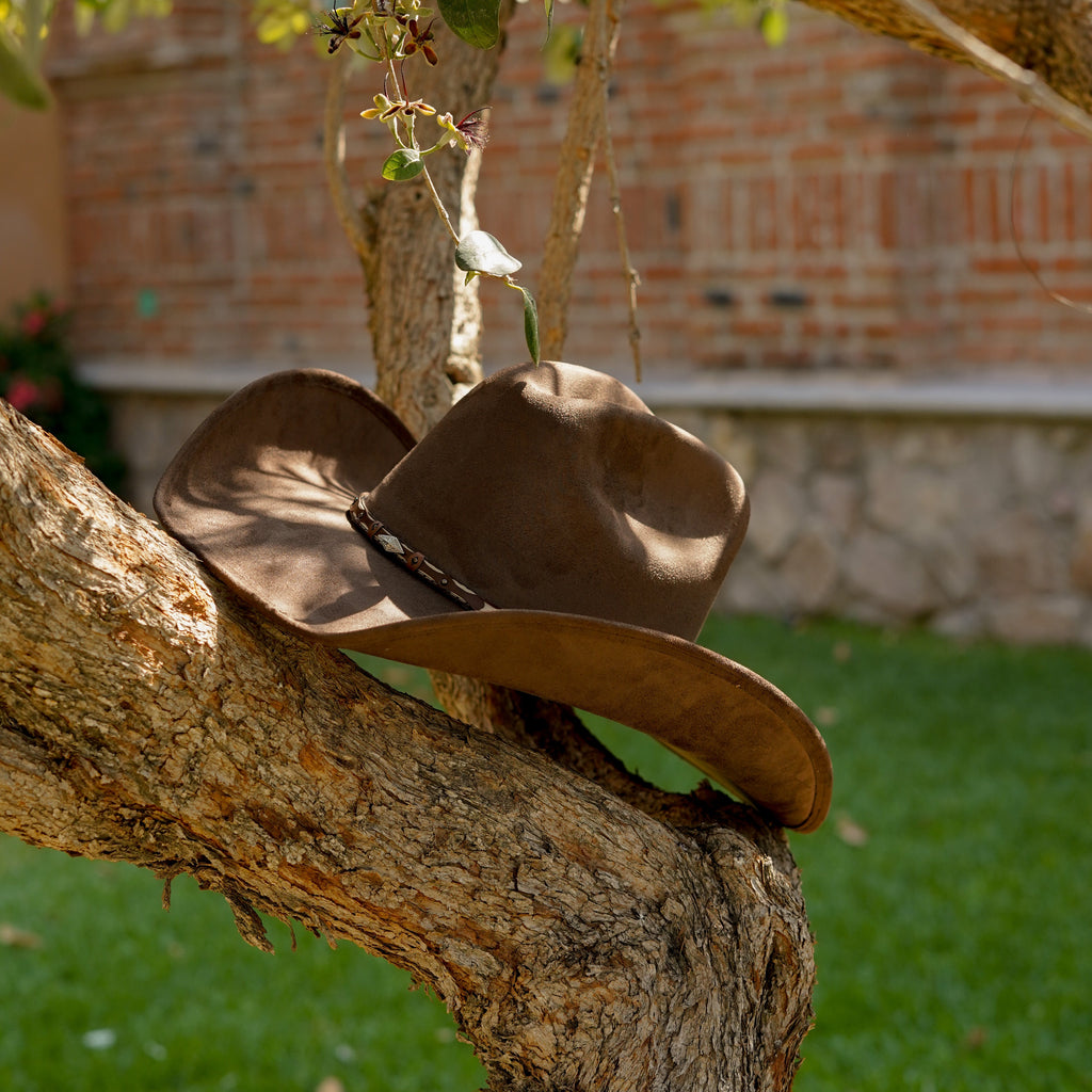 Texana Fina Rosendo Café