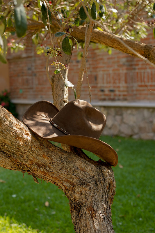 Texana Fina Rosendo Café