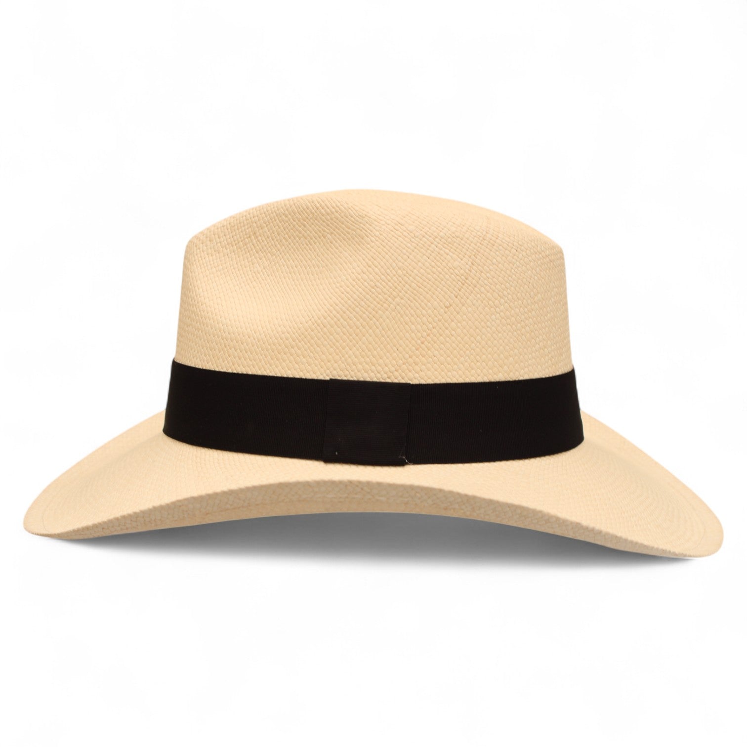 Panama Explorer Ivory