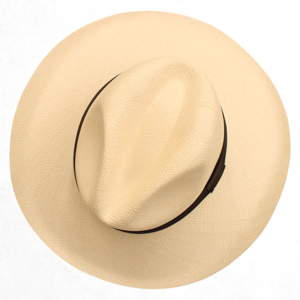 Panama Explorer Ivory