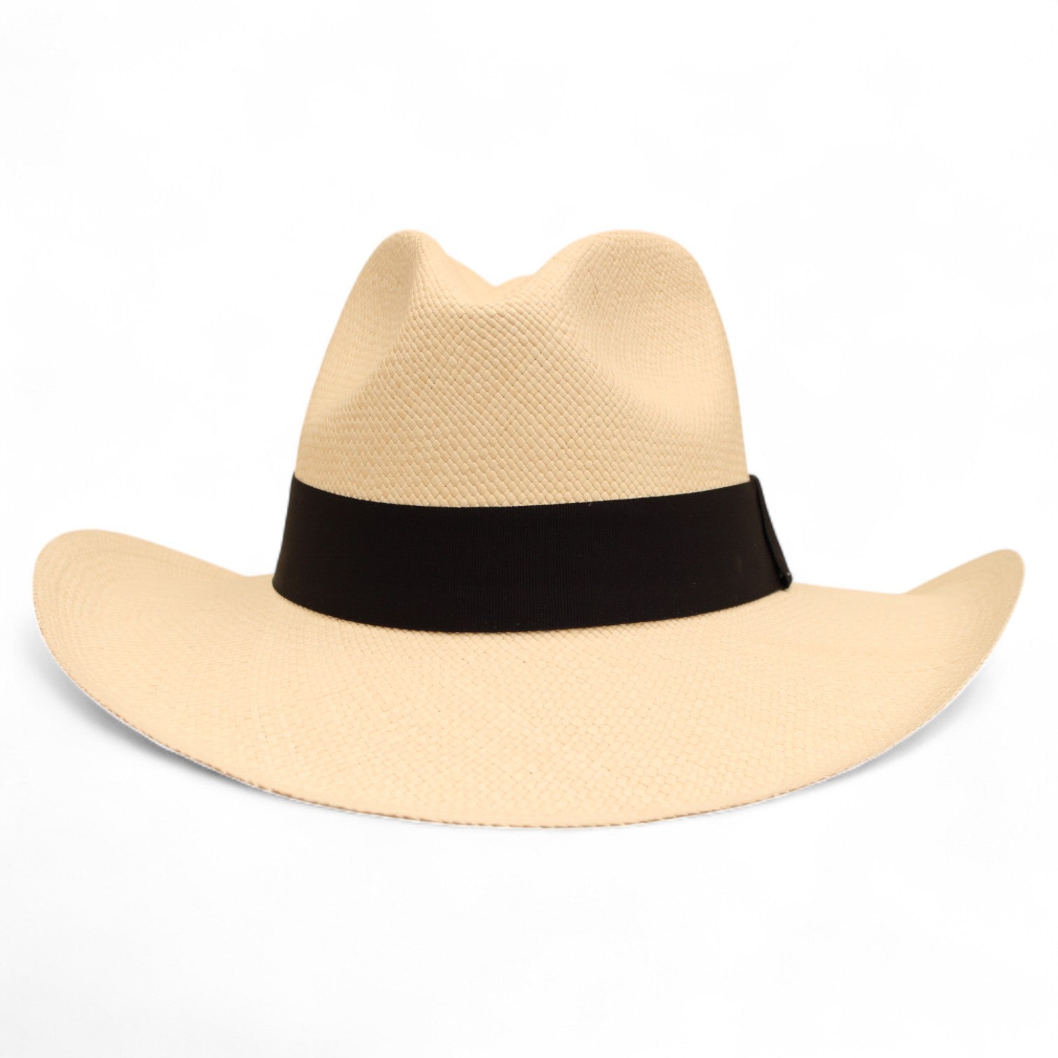 Panama Explorer Ivory